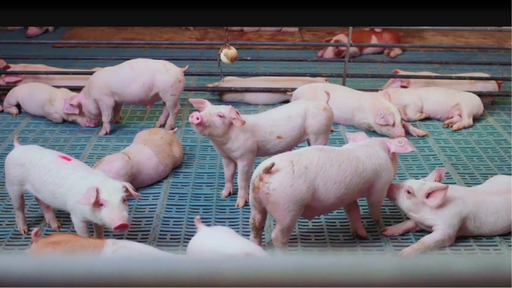 图片关键词 图片关键词