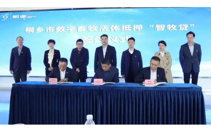 桐乡市创新数字畜牧活体抵押模式